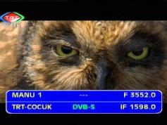 Yamal 201 at 90.0  e _ C footprint _ 3 552 R RRSat Global _ IF data